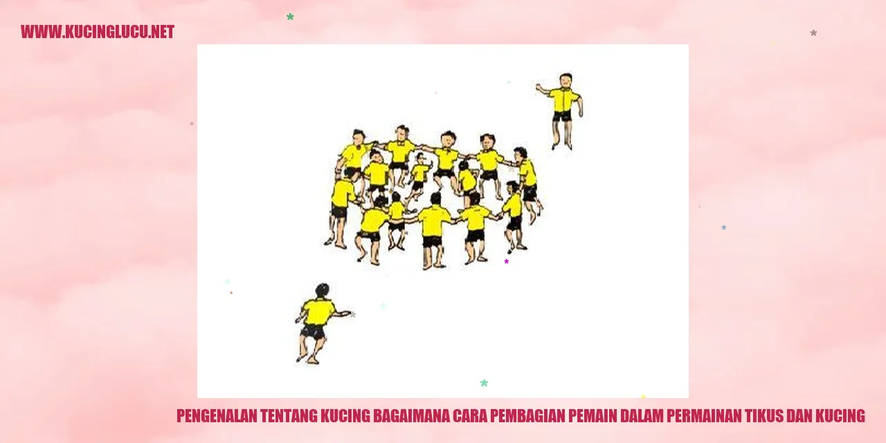 Kucing Lucu