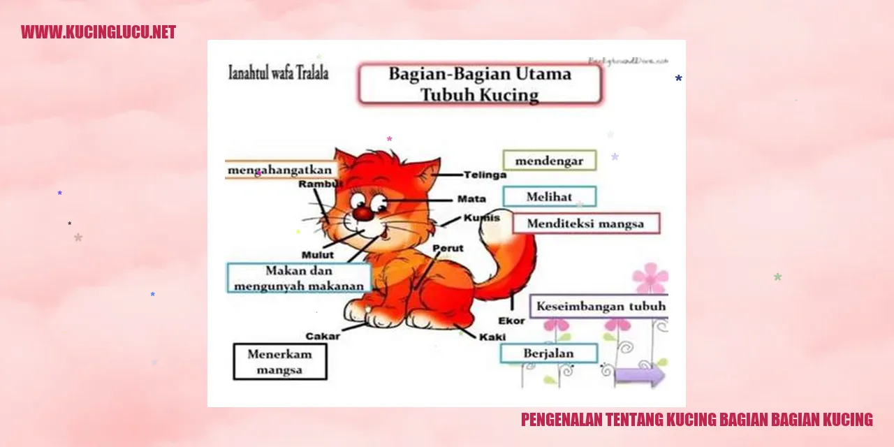 Gambar kucing