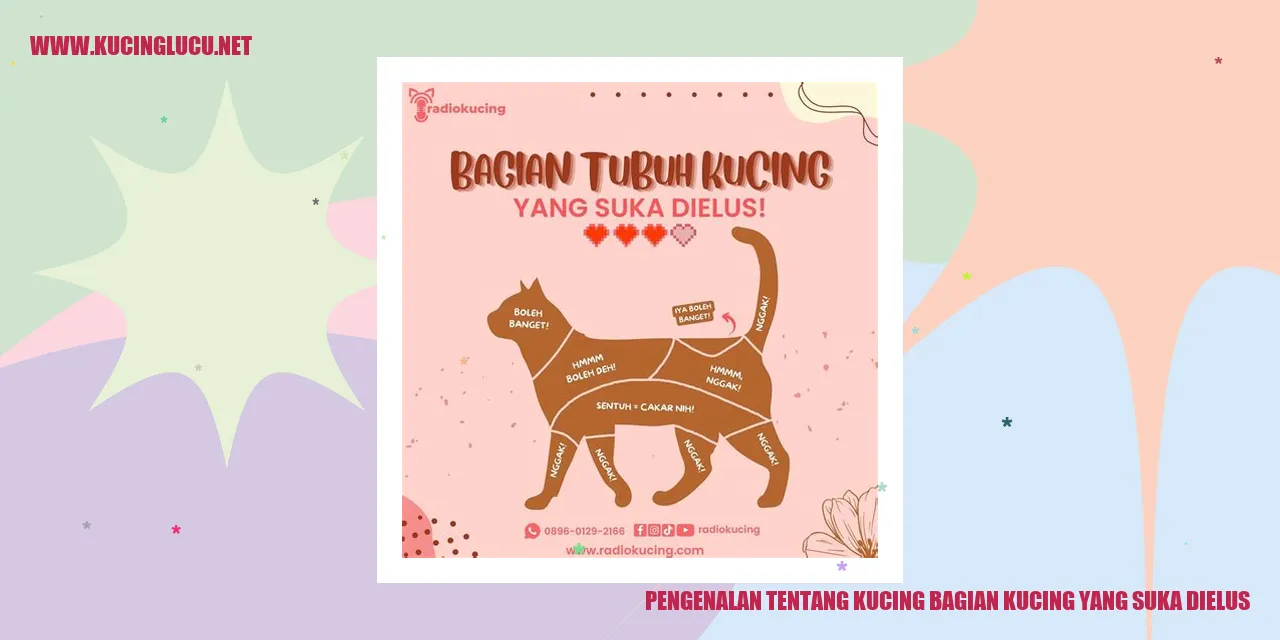 Gambar Kucing yang Suka Dielus