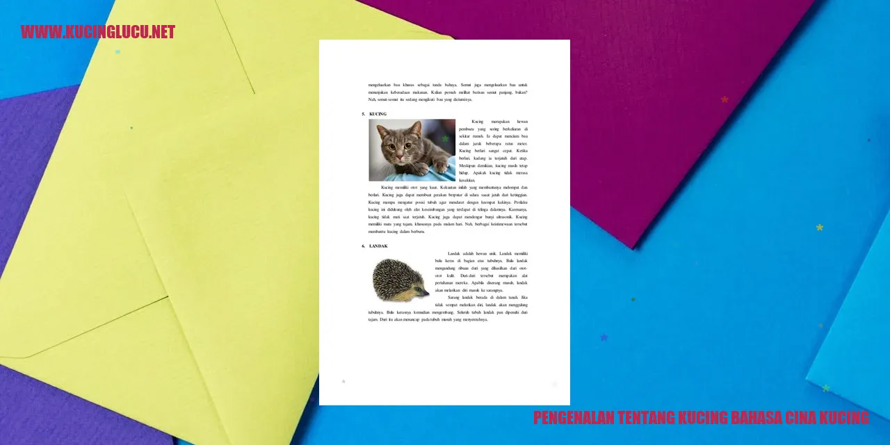 Gambar Kucing yang Menggemaskan