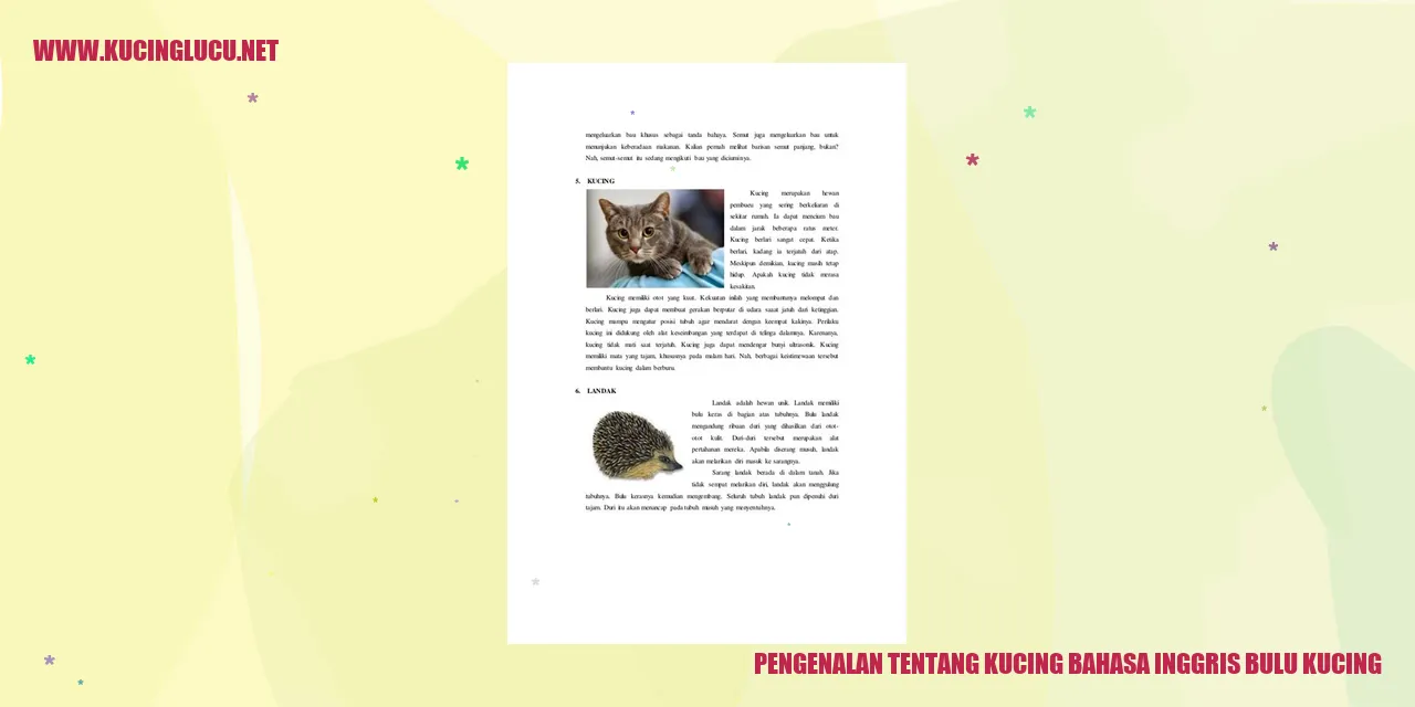 Pengenalan tentang Kucing bahasa inggris bulu kucing
