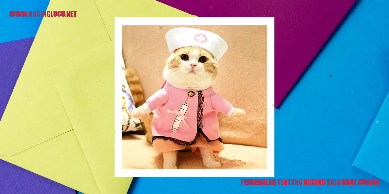 Kucing Baju Berbulu Elegan