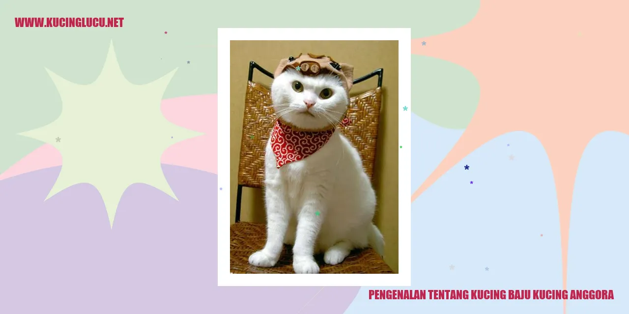 Kucing Anggora yang memesona