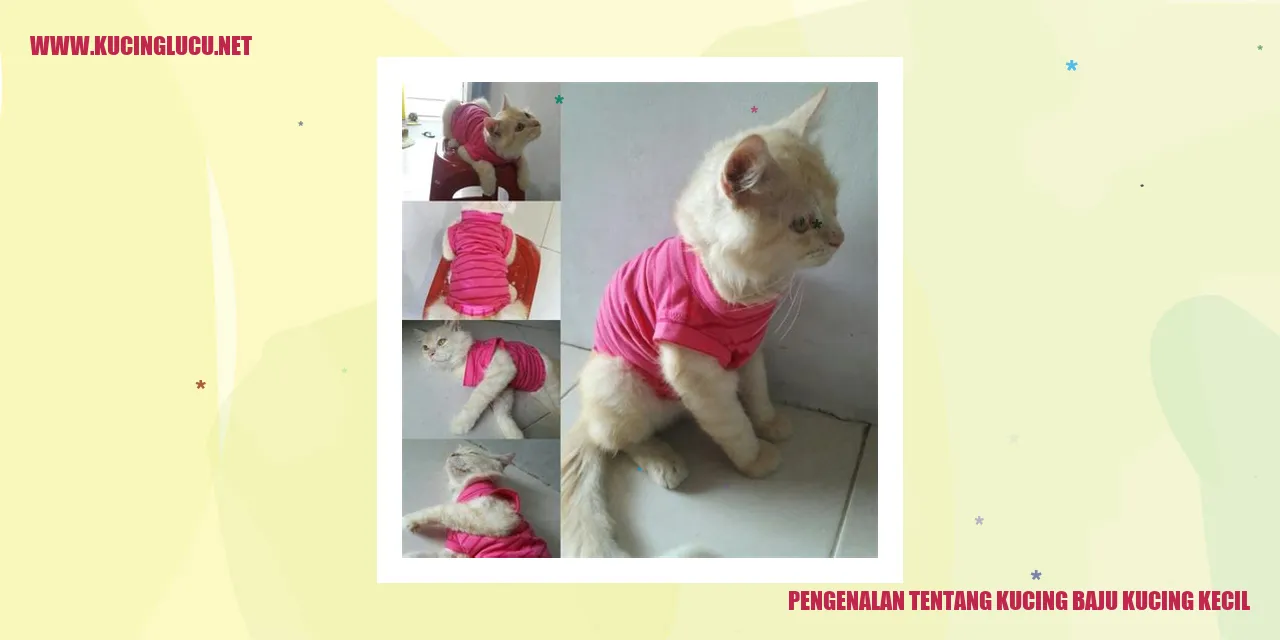 Kucing Baju Kucing Kecil