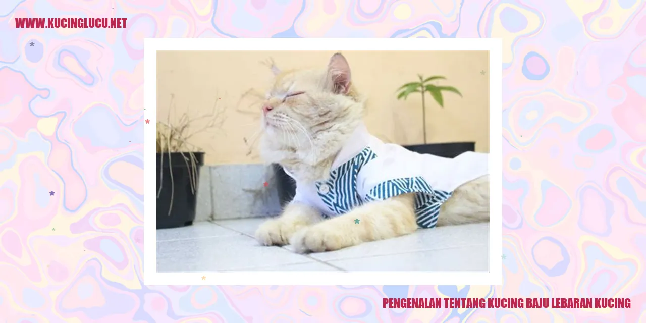 Kucing Baju Lebaran Kucing
