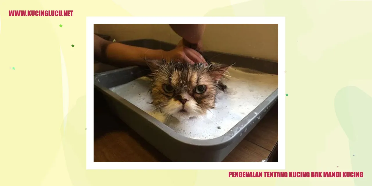 Kucing bak mandi kucing