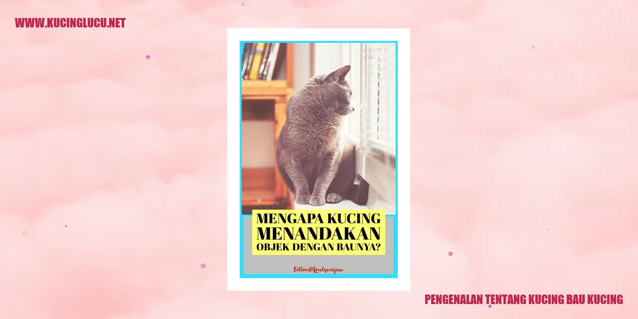 gambar kucing