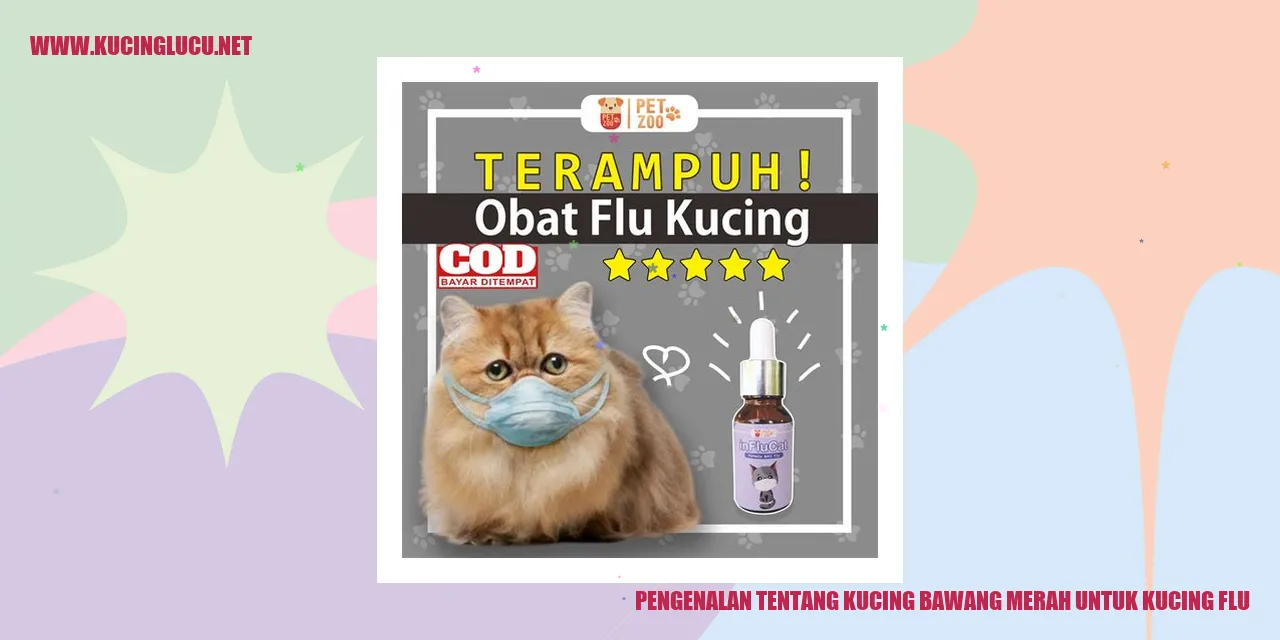 Kucing Bawang Merah untuk Kucing Flu