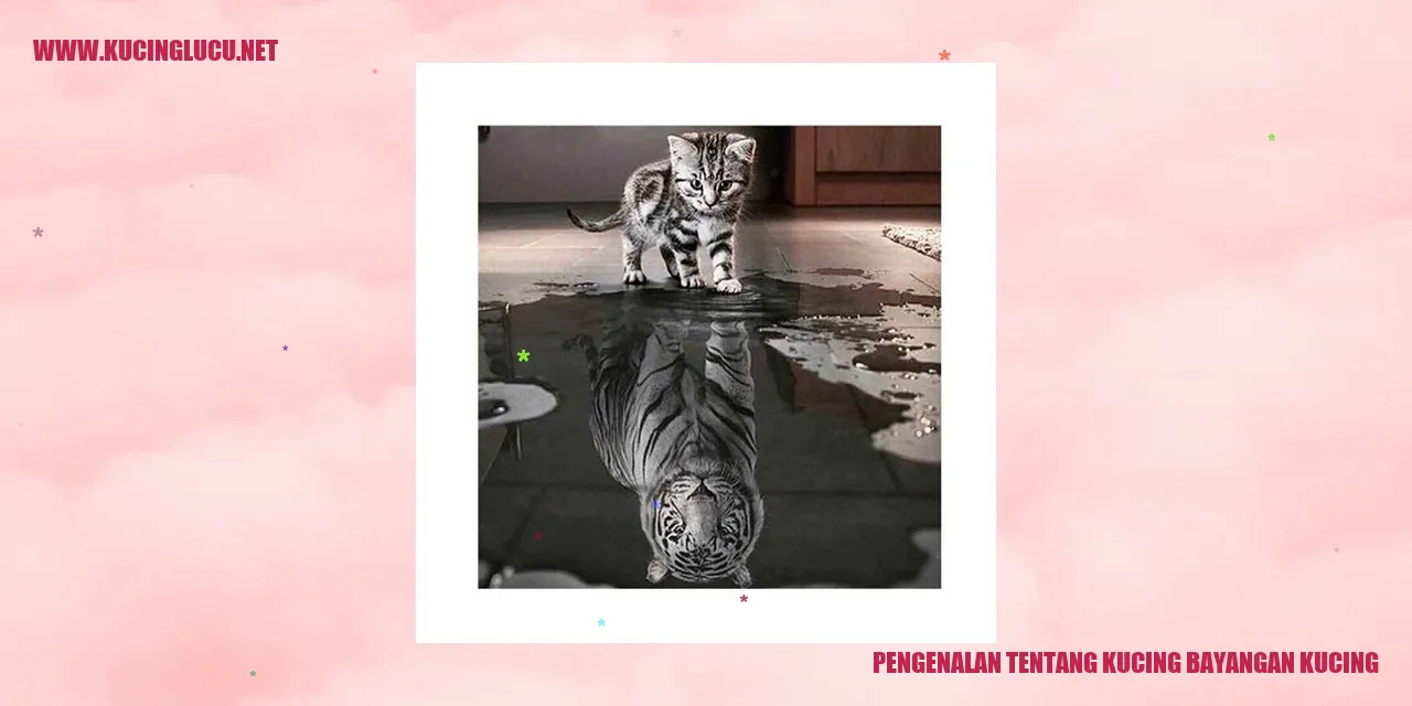 Kucing Bayangan Kucing