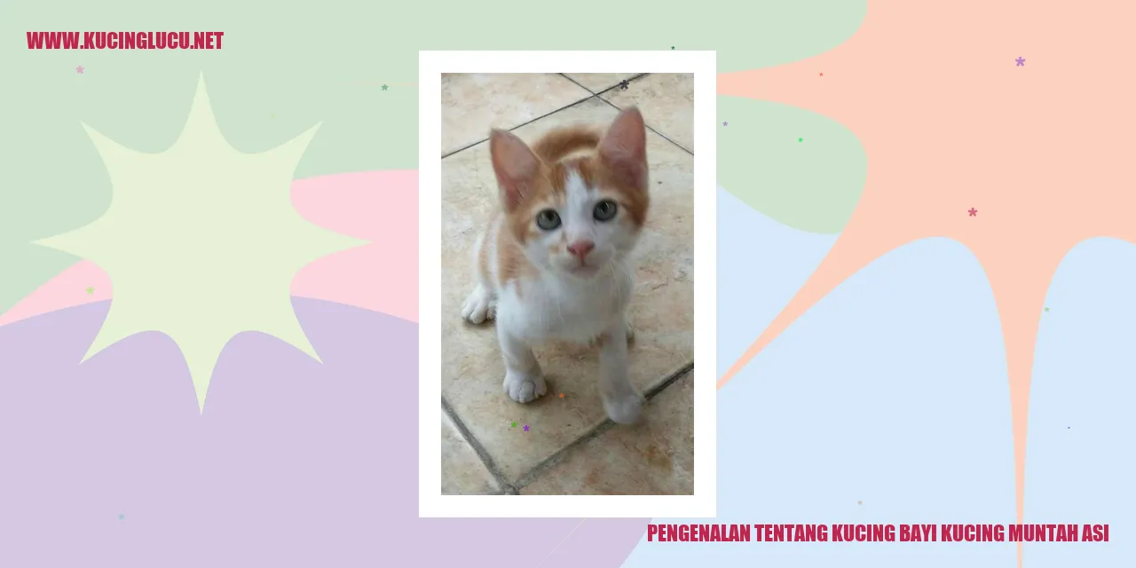 Gambar anak kucing muntah ASI