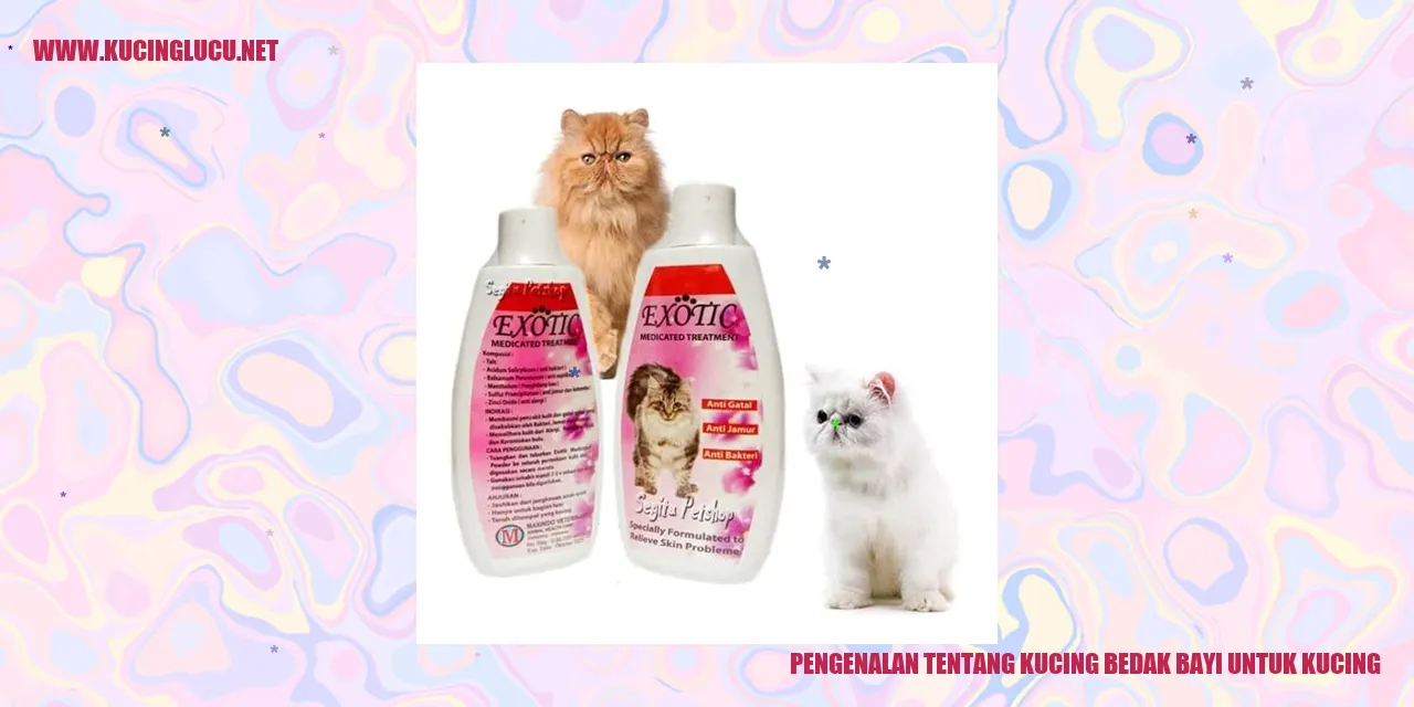 Kucing bedak bayi
