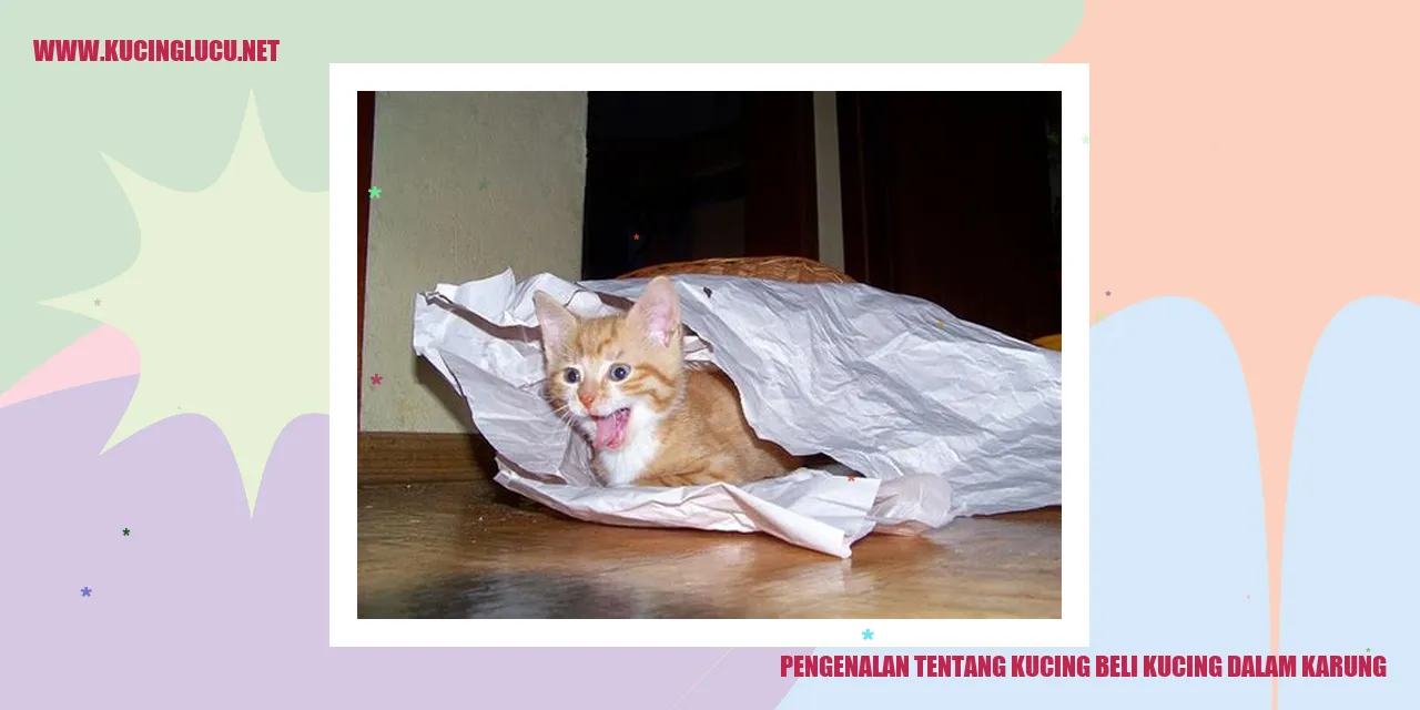 Kucing dalam karung