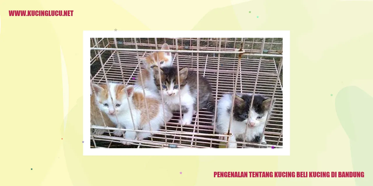 Gambar Kucing