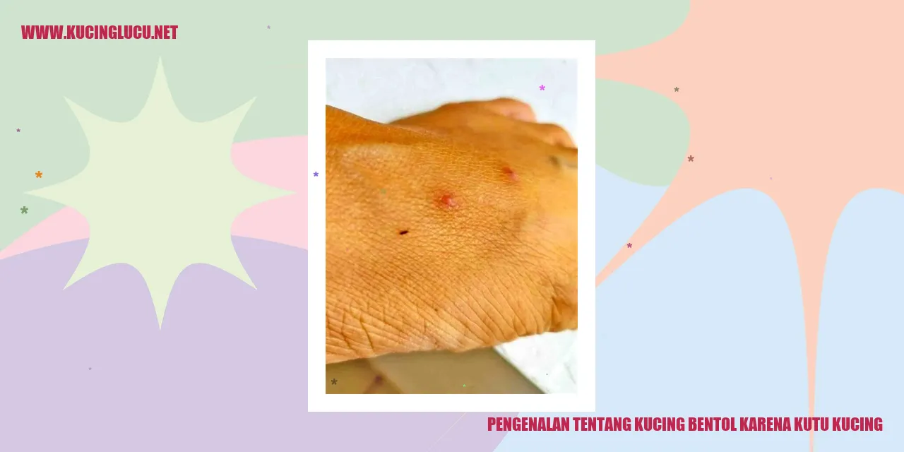 Kucing Bentol