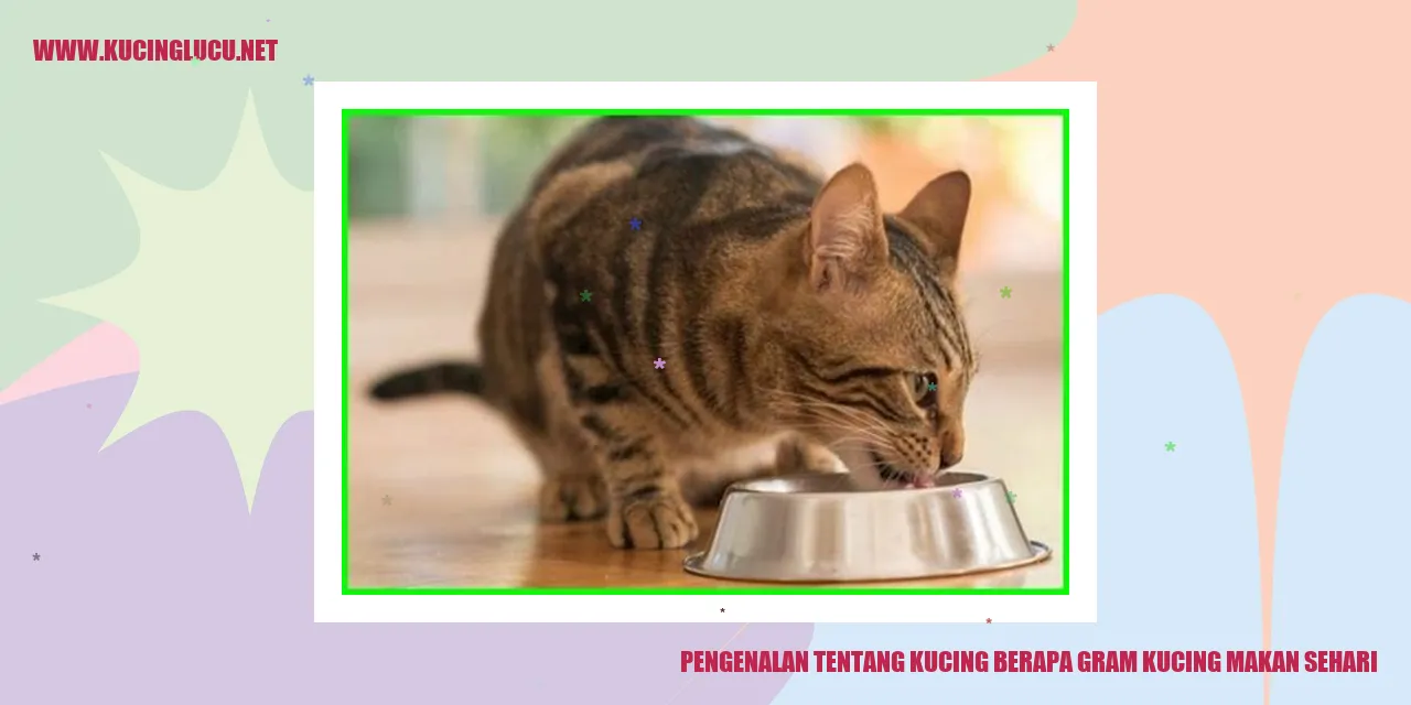 Pengenalan tentang Kucing