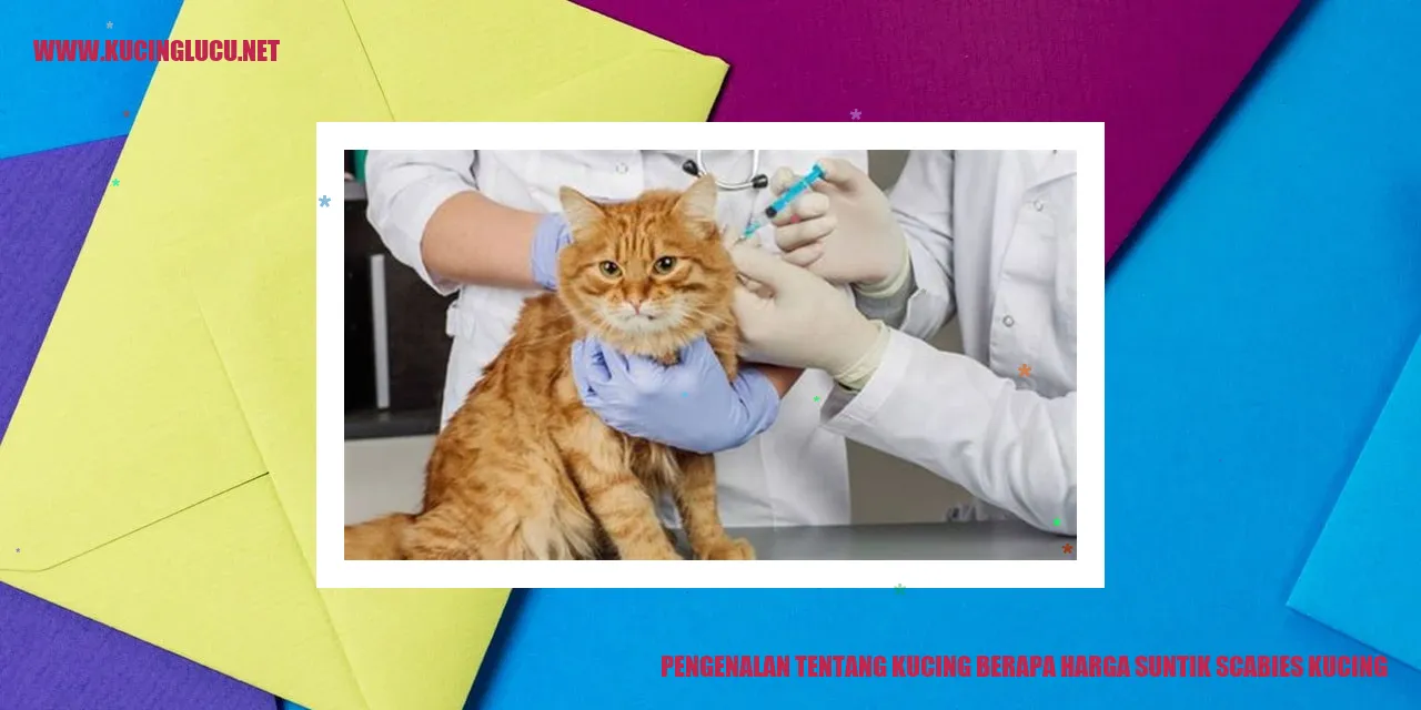 Ilustrasi Kucing