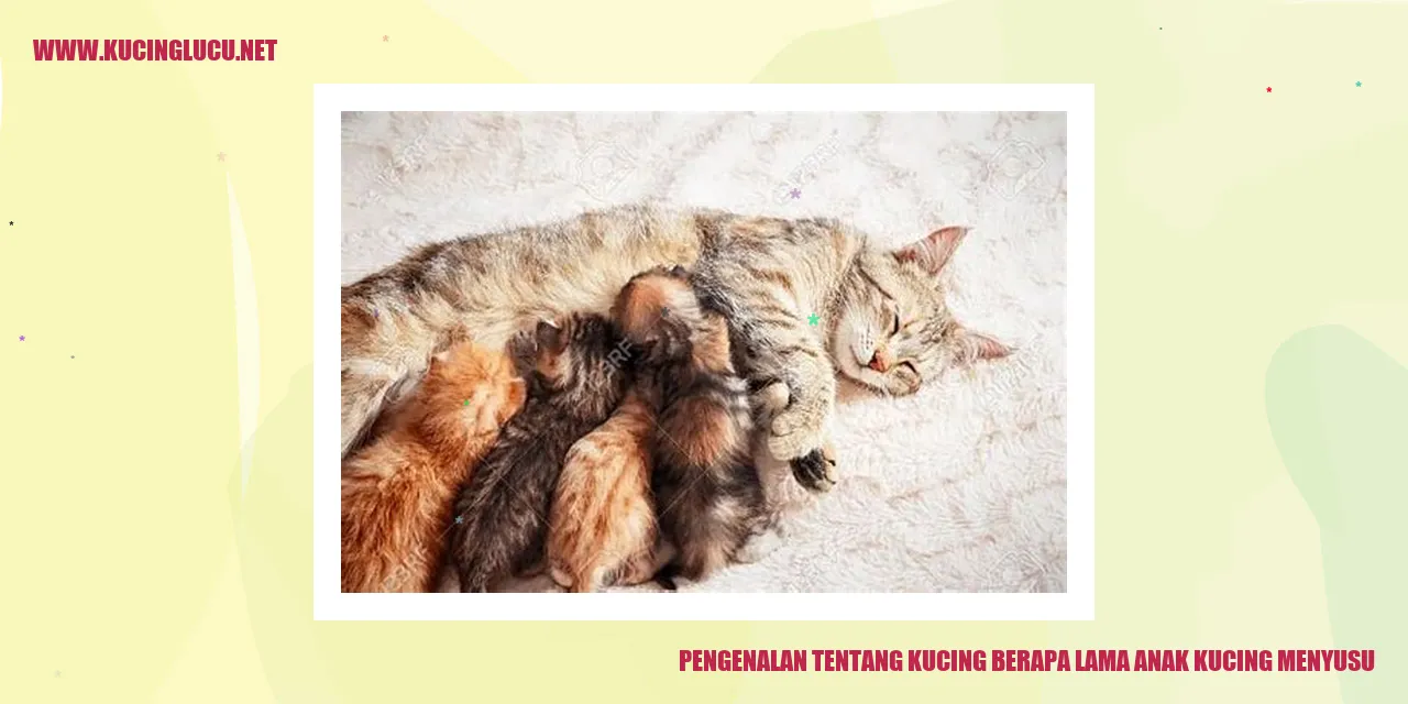 Gambar kucing menyusu