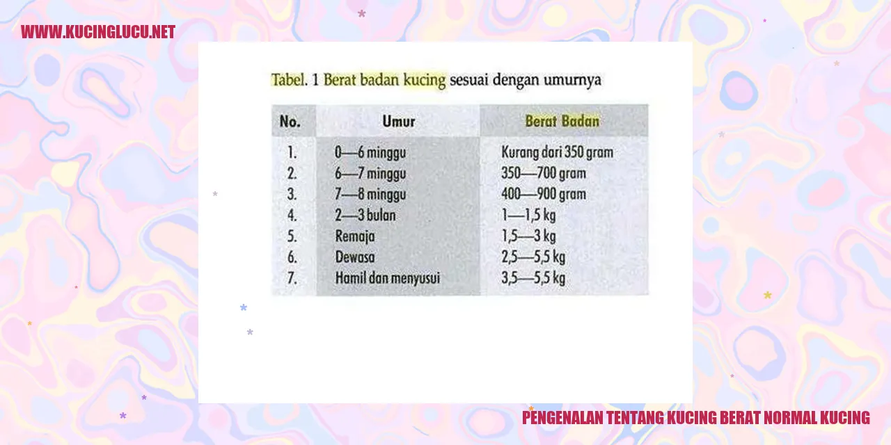 Kucing berat normal