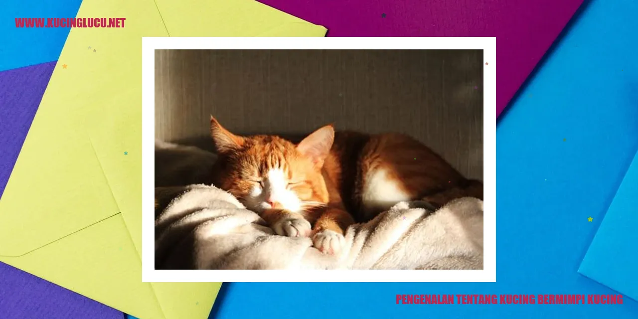 Gambar Kucing Bermimpi Kucing