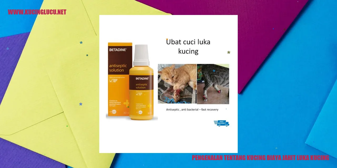 gambar kucing