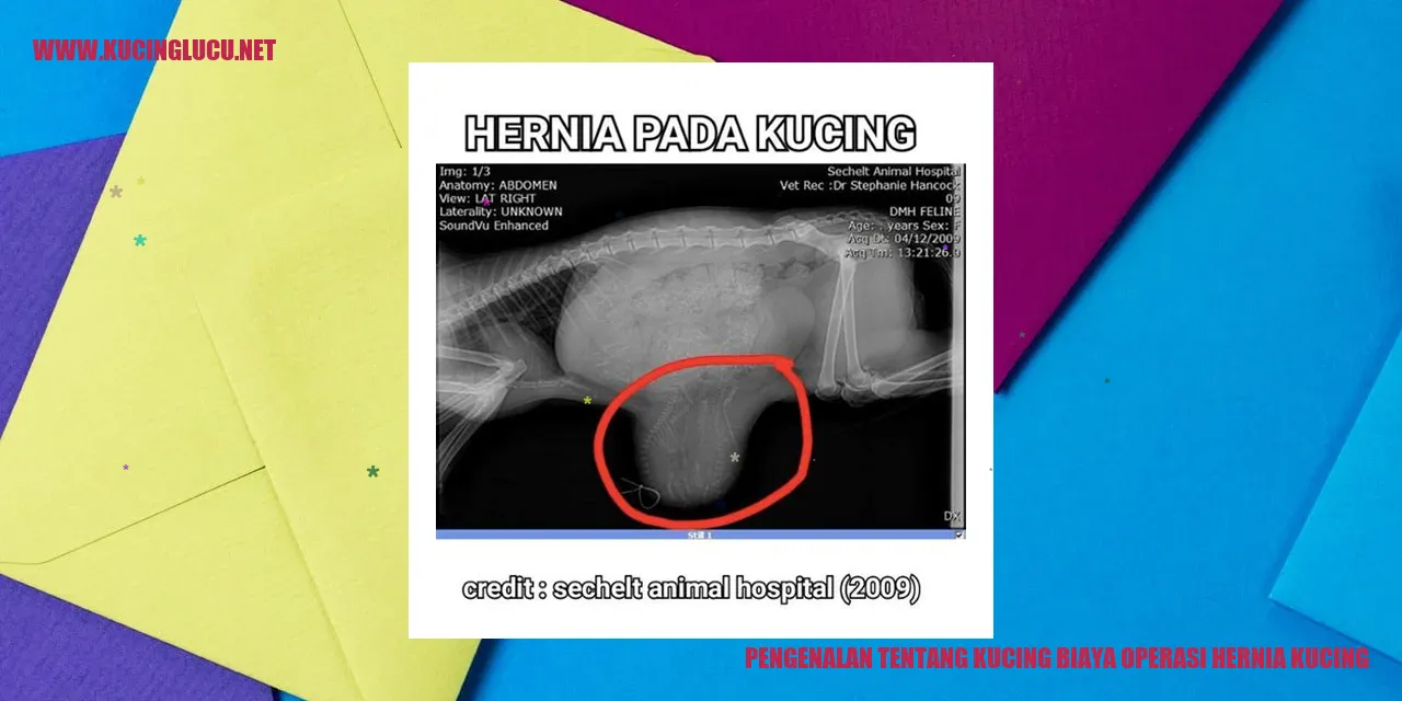 Gambar Kucing
