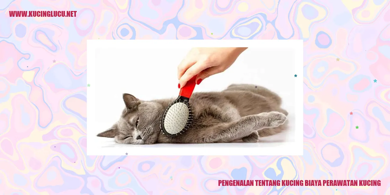 Kucing lucu