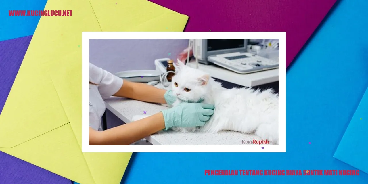 Gambar Kucing