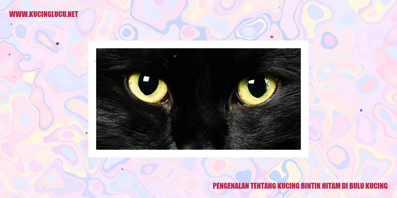 Kucing bintik hitam yang memesona
