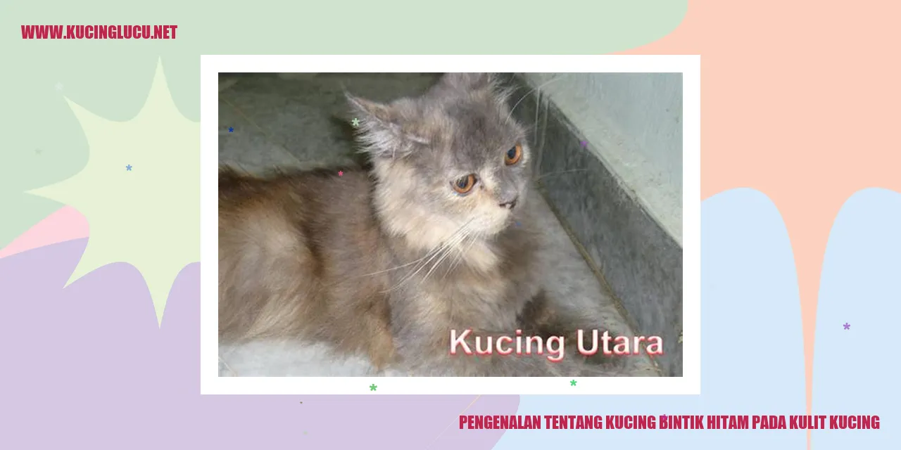 Kucing dengan Tanda Bintik Hitam