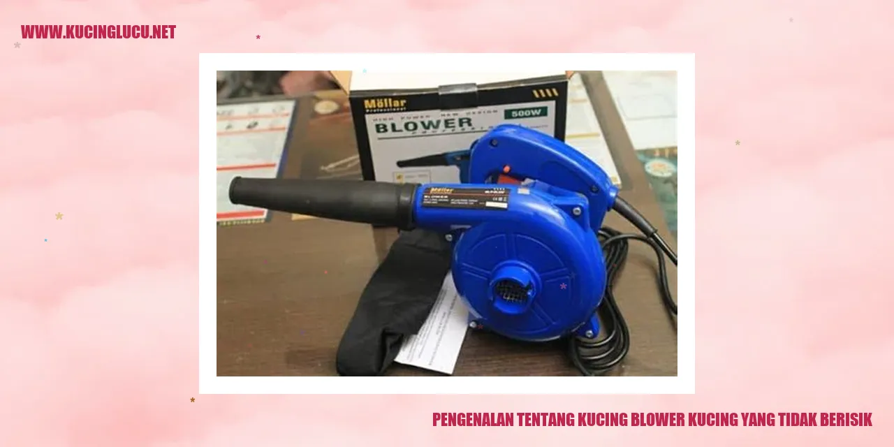 Kucing Blower yang Tidak Berisik