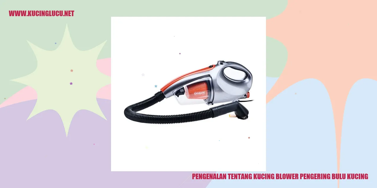 Kucing Blower