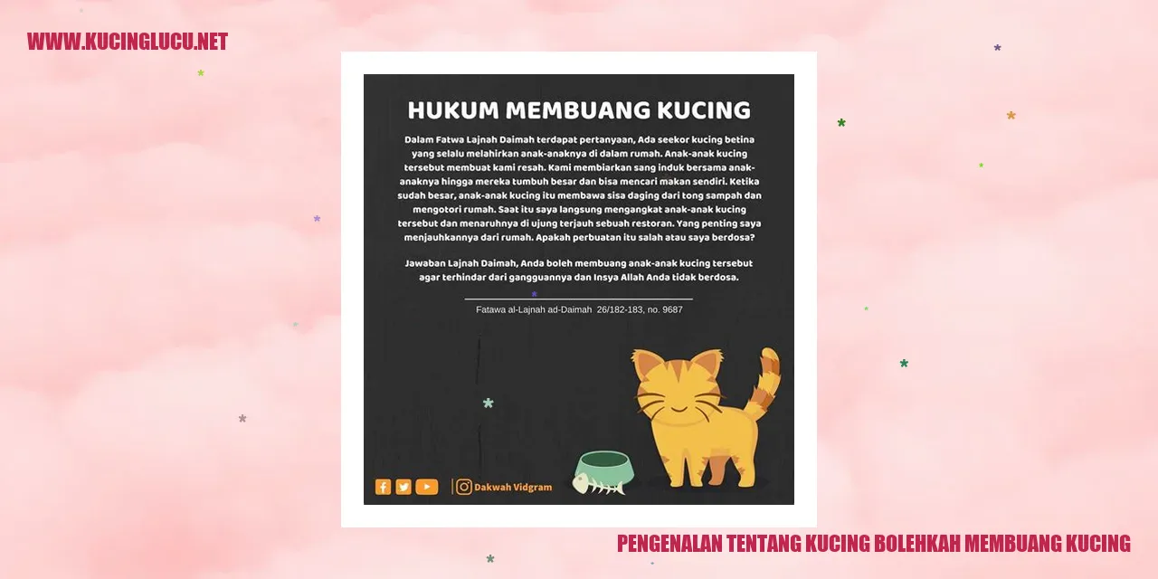 Gambar Kucing Yang Menggemaskan