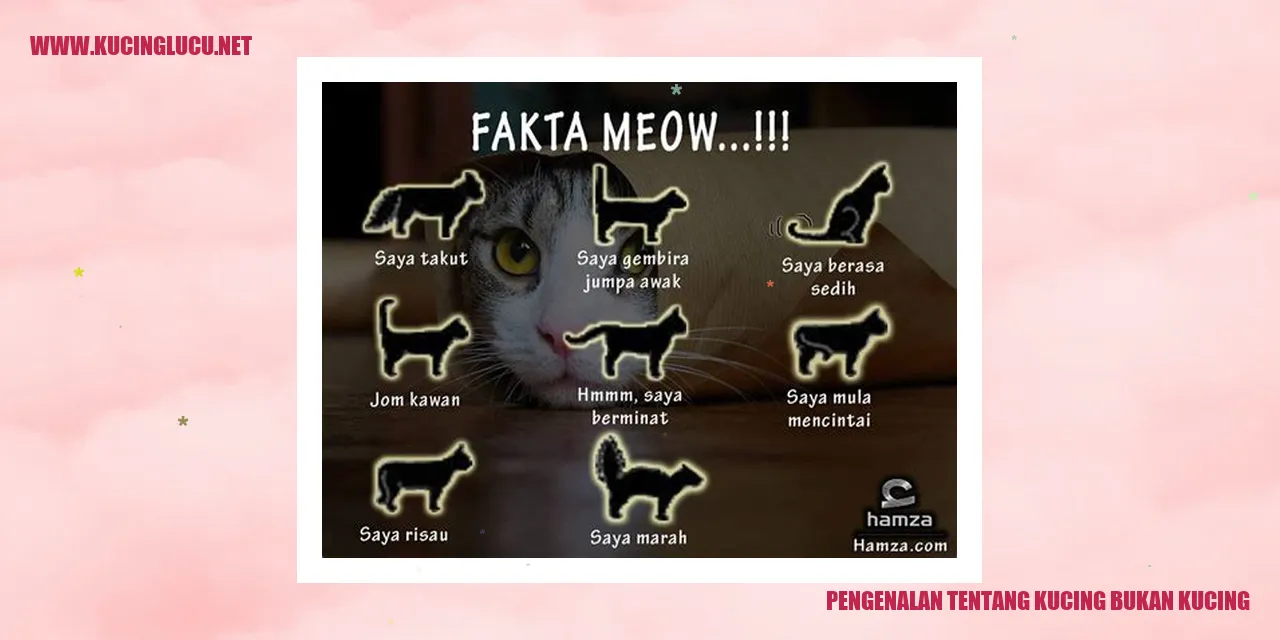 Gambar Kucing
