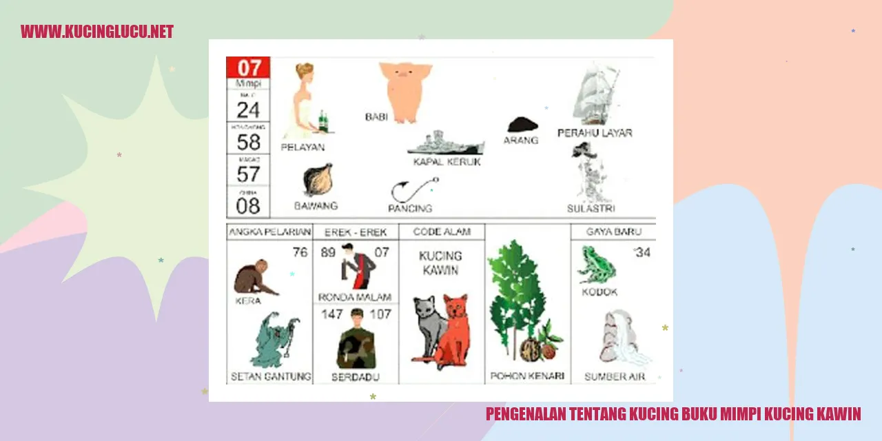 Gambar kucing