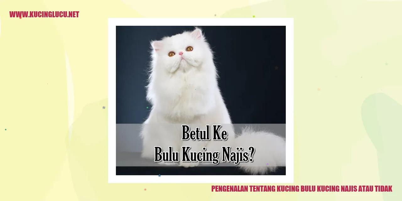 Kucing dengan bulu yang indah