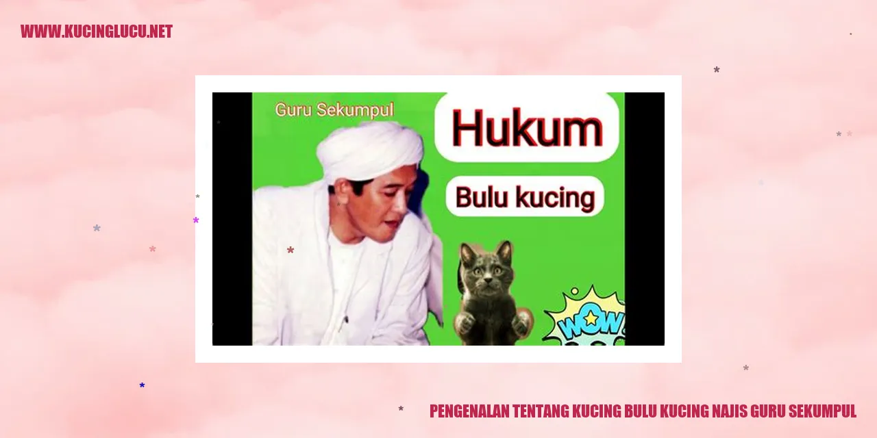 Gambar Kucing Bulu Kucing Najis Guru Sekumpul