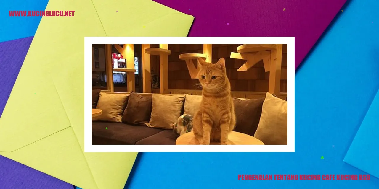 Pengenalan tentang Kucing Cafe BSD
