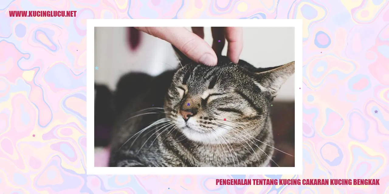 Kucing Cakar Bengkak