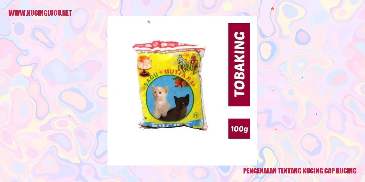Foto kucing dengan topi