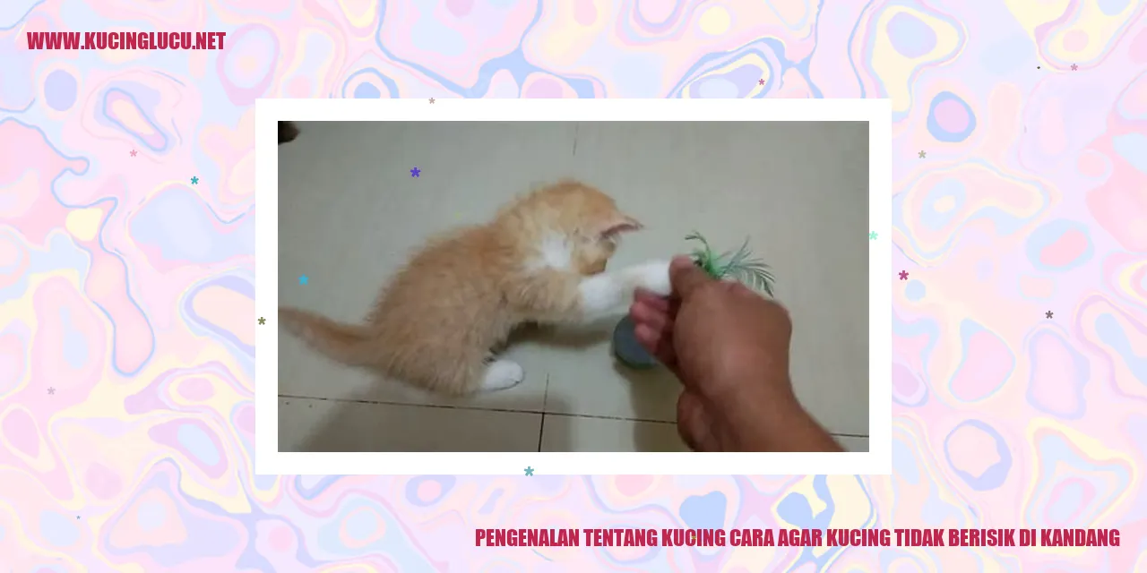Gambar Kucing di dalam Kandang