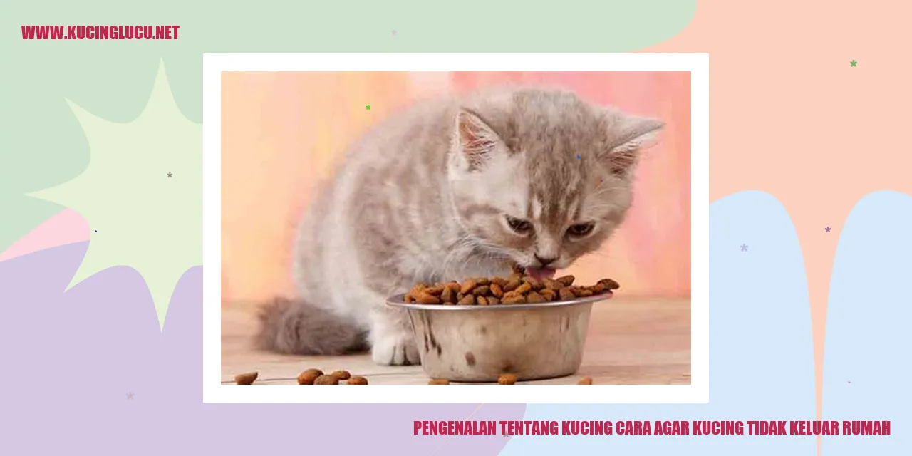 gambar kucing berada dalam rumah