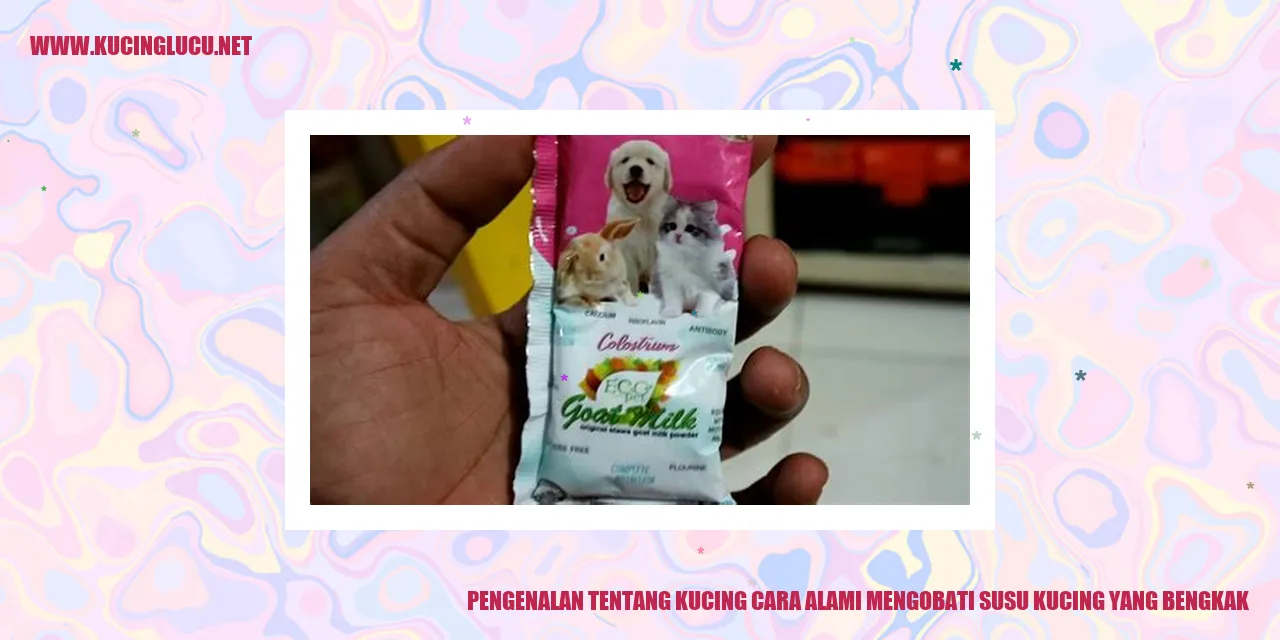Gambar Kucing