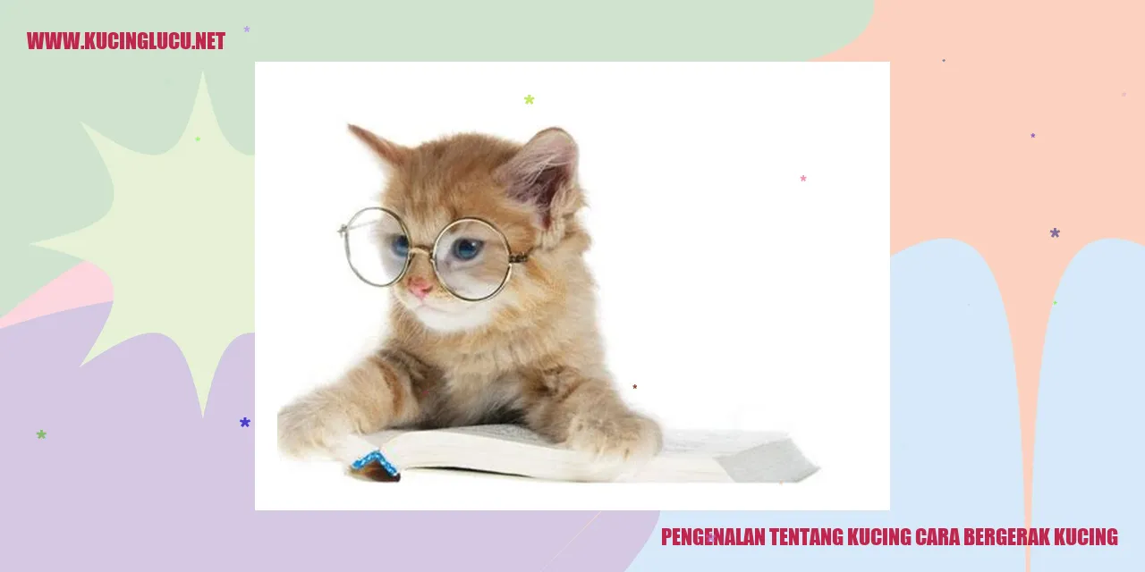 Gambar kucing berjalan