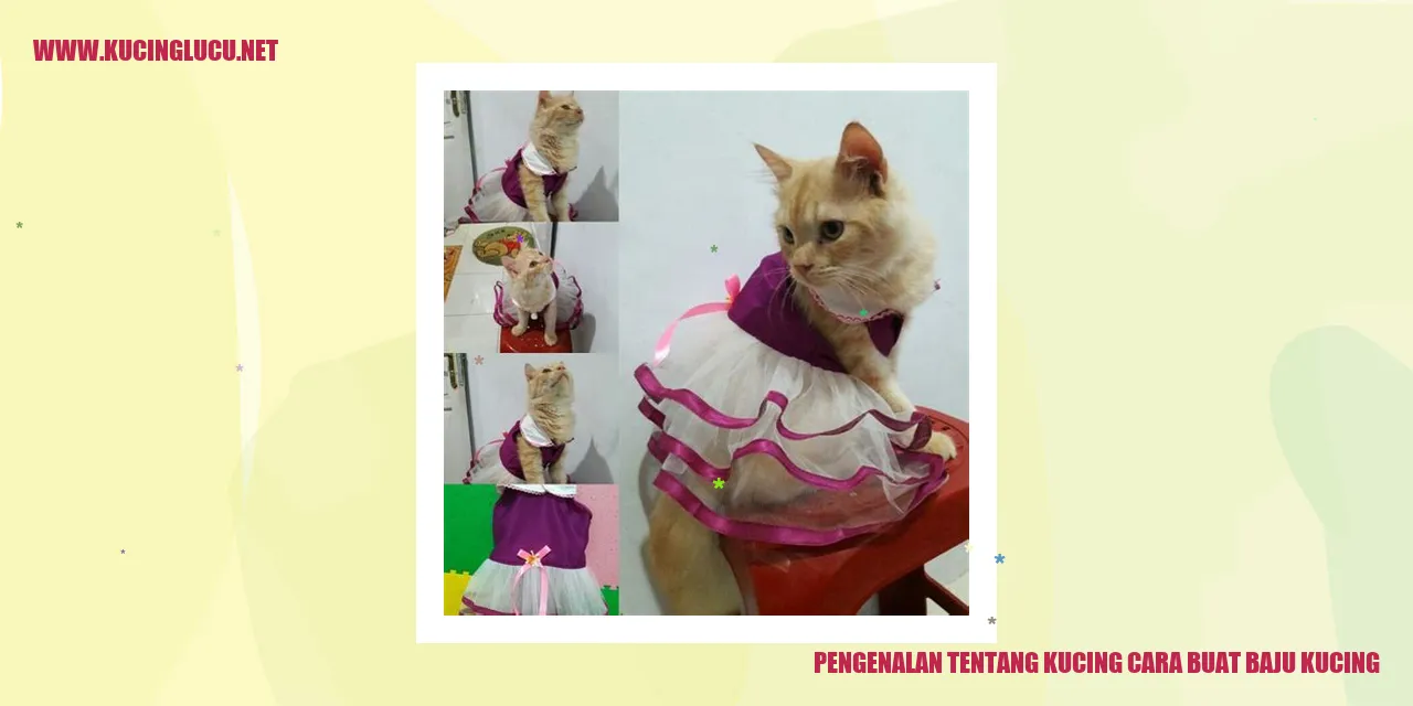 gambar kucing yang menggemaskan