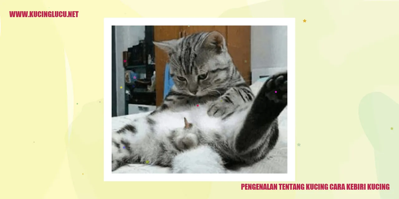 Ilustrasi kucing