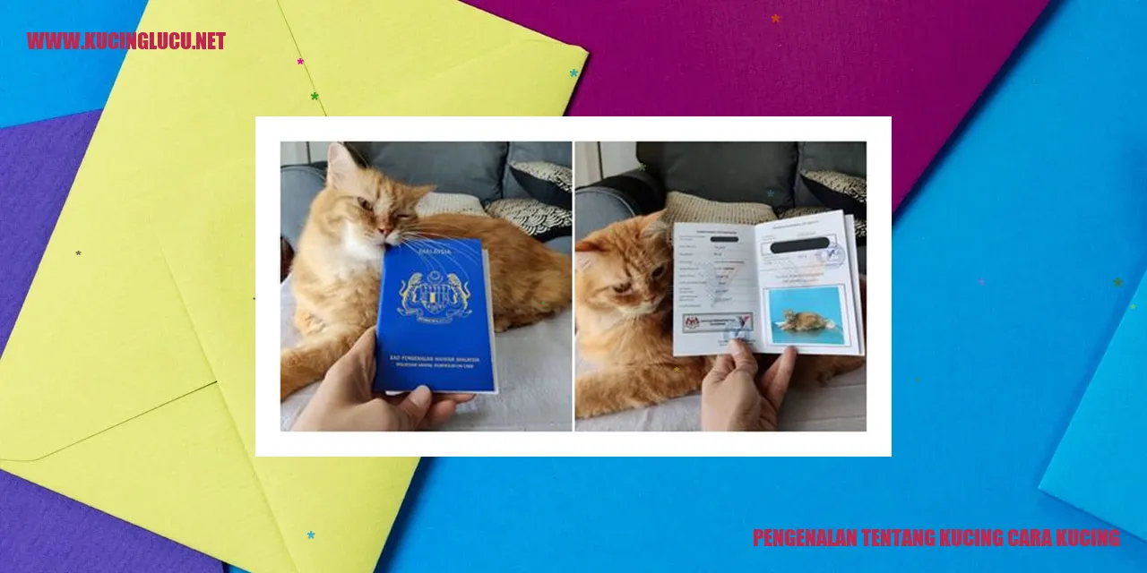 Gambar Kucing