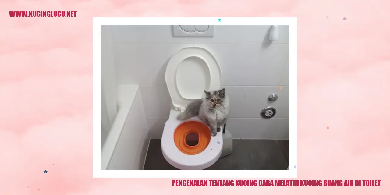 Gambar Kucing yang Menggemaskan