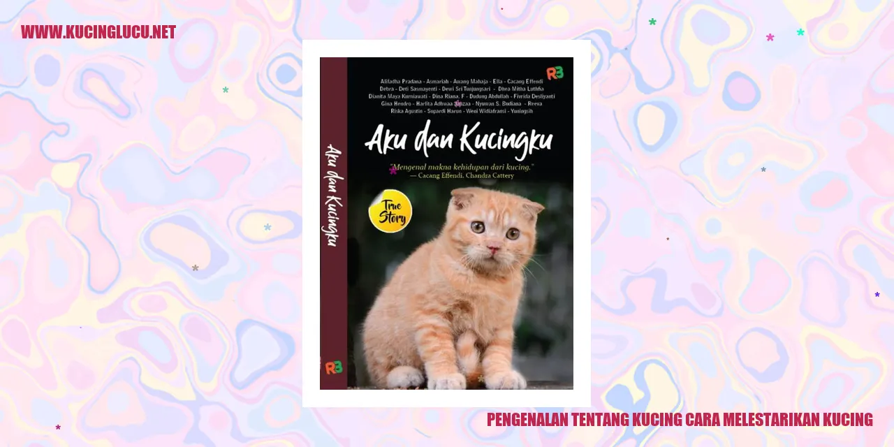 Kucing Lucu