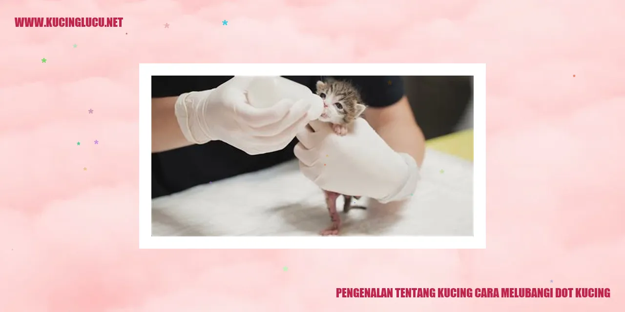 Ilustrasi kucing sedang melubangi dot kucing