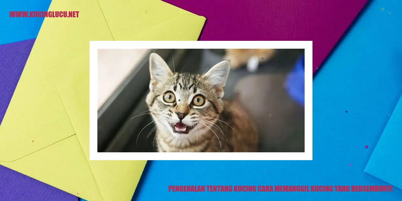 Potret Menawan Seekor Kucing